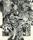 JUDY HOLDING 
Edinburgh Gardens – North Fitzroy 2014 
Serigrafia sobre papel Magnani 300gr 
impresso por Basil Hall Editions, Braidwood 
Edição: 30 com 3 PA
76 x 56cm 